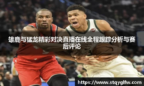 雄鹿与猛龙精彩对决直播在线全程跟踪分析与赛后评论